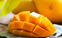 giai-phap-toan-dien-tu-vat-tu-nong-nghiep-cao-lanh-danh-cho-nha-vuon-trong-xoai